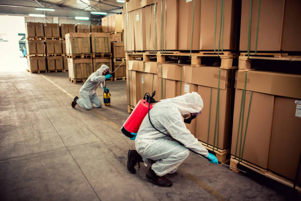 Best Best Pest Control Companies  in Presidio, TX