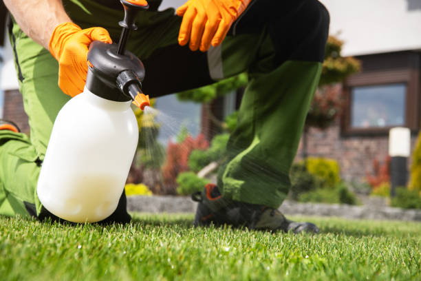 Presidio, TX Pest Control Company