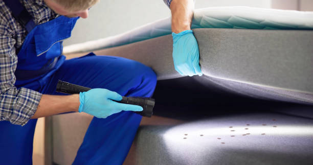 Best Pest Prevention Services  in Presidio, TX