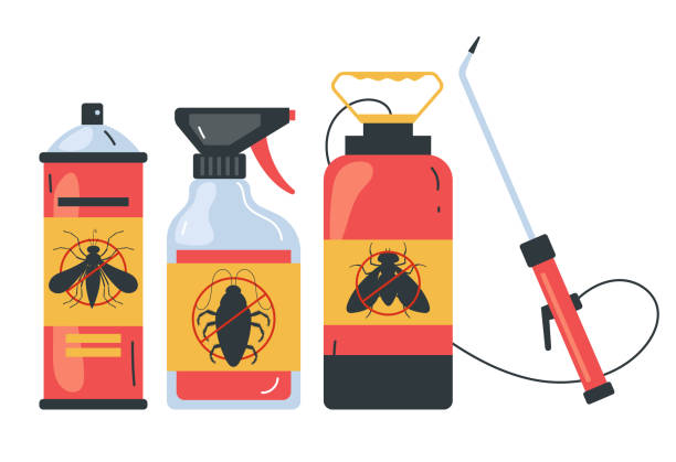 Best Termite Control Services  in Presidio, TX