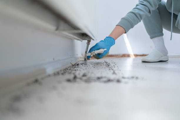 Best Termite Control Services  in Presidio, TX