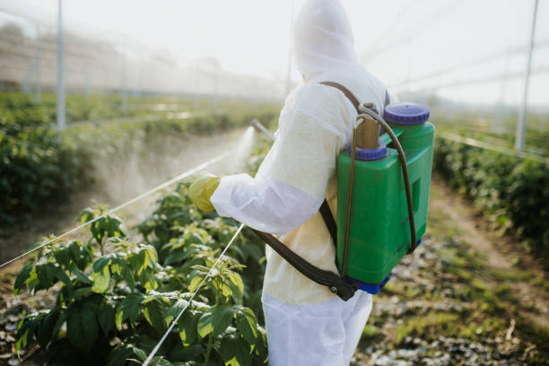 Best Cockroach Control Services  in Presidio, TX